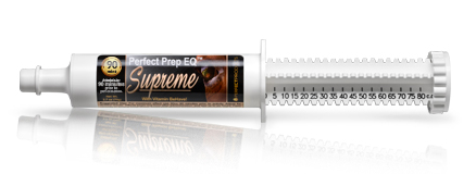 Perfect Prep EQ Supreme