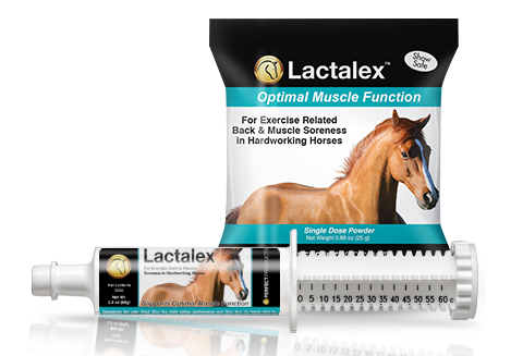 Perfect Prep Lactalex Paste
