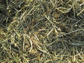 Triple Crown Safe Starch Forage for Horses