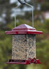 Reflective Red Vista Squirrel-Resistant Feeder