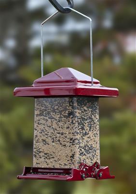 Reflective Red Vista Squirrel-Resistant Feeder
