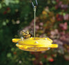 Plastic Butterfly Feeder - 12oz