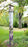 Meadow Brook Barn 6' Birdhouse Art Pole