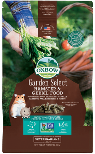 Oxbow gerbil food hotsell