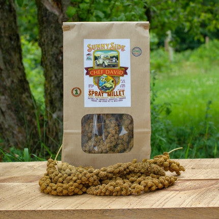 Baby Bird All Natural Food Spray Millet – 16 Oz – Free Shipping