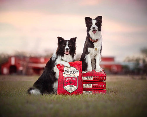 Stella & Chewy's Red Meat Raw Blend Kibble