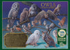 OWLS OF NORTH AMERICA 1,000 PIECE PUZZLE