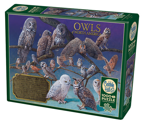 OWLS OF NORTH AMERICA 1,000 PIECE PUZZLE