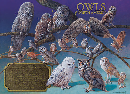 OWLS OF NORTH AMERICA 1,000 PIECE PUZZLE