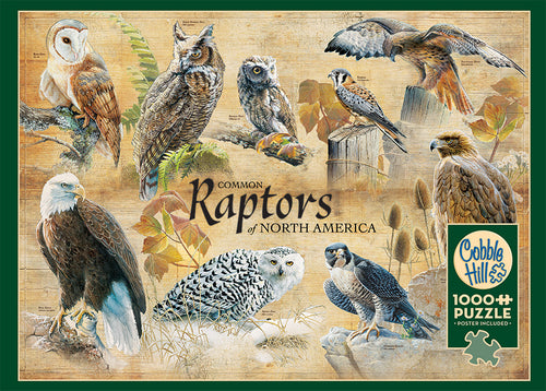 COMMON RAPTORS 1,000 PIECE PUZZLE