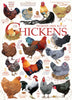 CHICKEN QUOTES 1,000 PIECE PUZZLE