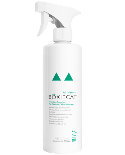 Boxiecat Premium Scented Stain & Odor Remover